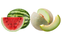 Watermelon, Melon